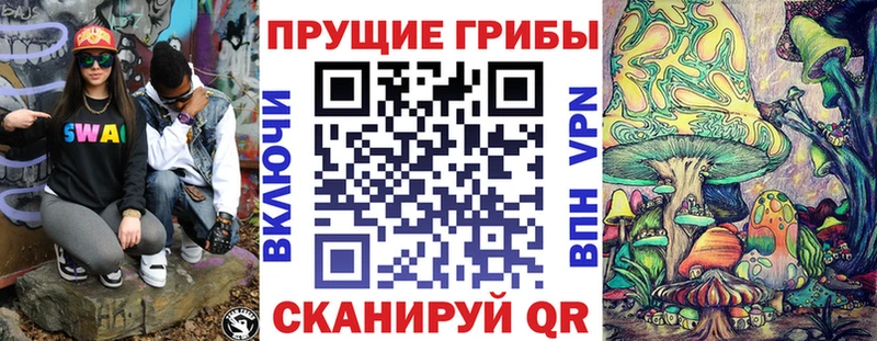хочу наркоту  Коряжма  Галлюциногенные грибы Psilocybe 
